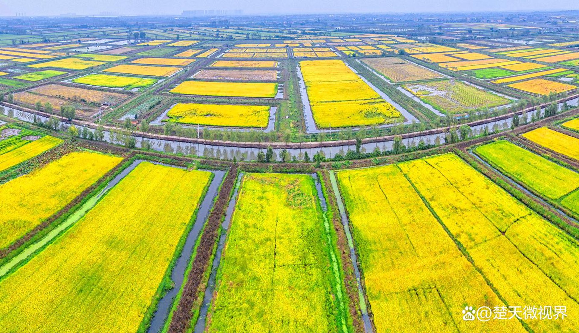 瑞草农业合作社